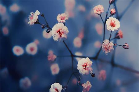 1549960628557879.jpg 男友总是怀疑我和前任有联系,还经常质问我.jpg