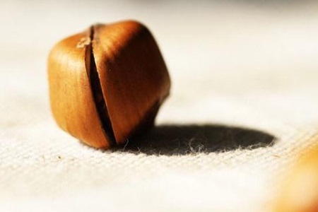 1545018263932911.jpg 老公和婆婆对我永远差评,却不知自我批评.jpg