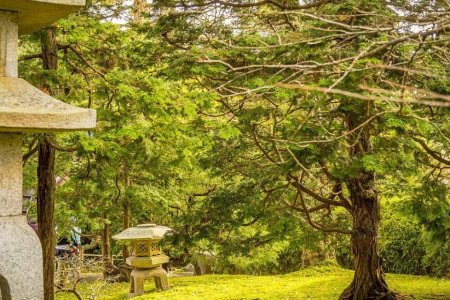 1545728401947096.jpg 比起经营婚姻,更重要的是修炼爱情.jpg