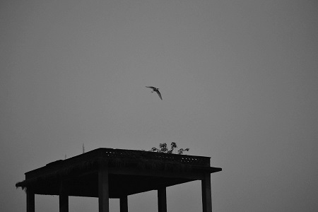 1547542756490743.jpg 她生孩子的时候,丈夫竟然没有了踪影.jpg