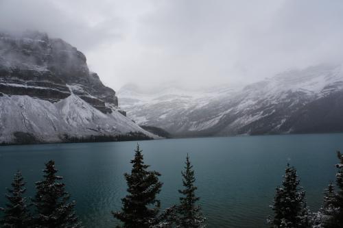 1547543006648704.jpg 你的婚姻和未来不是时代的选择,只是你的选择.jpg