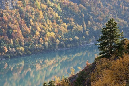 1547543061171017.jpg 你的婚姻和未来不是时代的选择,只是你的选择.jpg