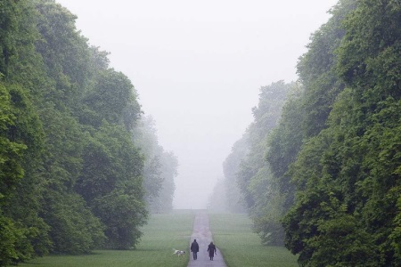 1547628110466442.jpg 我爸打了我媳妇,现在媳妇要和我离婚.jpg