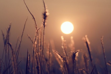 1547695369443899.jpg 初恋要离婚,找我说,问问我的态度.jpg