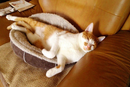 1547714723880627.jpg 如果对方有这两个“毛病”,女性一定不要嫁.jpg