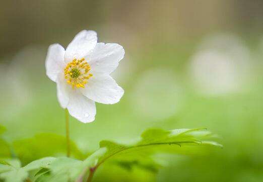 1548040963400811.jpg 我和他分手后想复合,但却发现他不是我好友.jpg