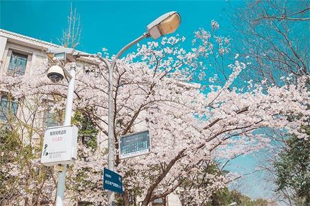 1548128580516024.jpg 女生远嫁后的状态,可能就是家与远方的间隙.jpg