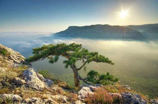 1546832986378775.jpg 我不知道我算不算情人,但爱情也分贵贱吗.jpg