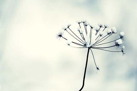 1547444306993539.jpg 婚后你想当怨妇还是超人?全看心态二字.jpg