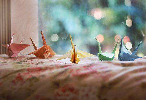 1545963633188926.jpg 婆婆因为房产证的问题,要跟公公闹离婚.jpg