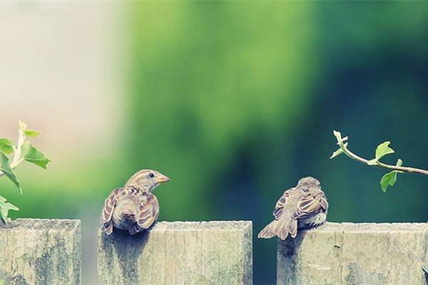 1545963689885617.jpg 婆婆因为房产证的问题,要跟公公闹离婚.jpg