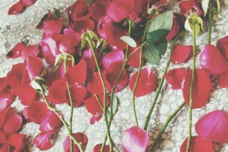 1546485029211395.jpg 老公去外地面试工作,回来包里少了个东西.jpg