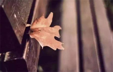 1544602893546810.jpg 你所热爱的生活,一定是你的态度决定的.jpg