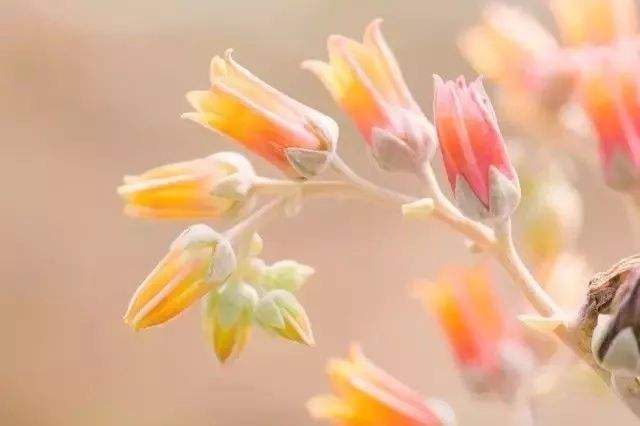 1544671071949077.jpg 夫妻之间以这种方式相处,后果很严重.jpg