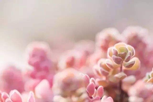 1544671086164513.jpg 夫妻之间以这种方式相处,后果很严重.jpg