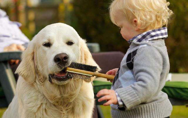 1545362706238945.jpg 想让你的孩子变优秀,就要减少不幸福的来源.jpg