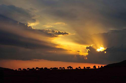 1545362763964965.jpg 想让你的孩子变优秀,就要减少不幸福的来源.jpg