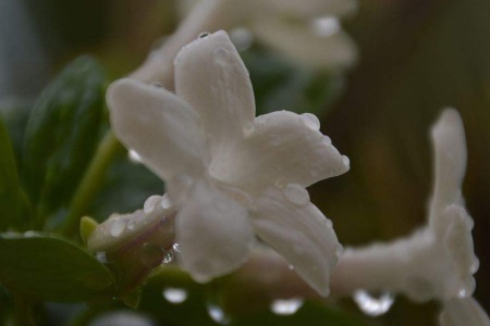 1545363062123833.jpg 无法按照自己的意愿生活,那一定抑郁和不快乐.jpg