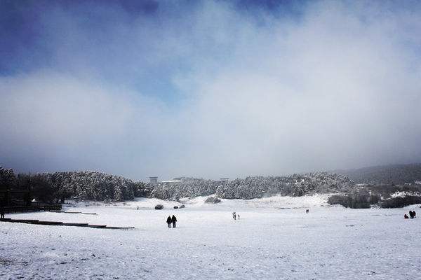 1543829059876114.jpg 她怀了一对双胞胎,但却要被迫摘除子宫.jpg