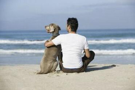 1543893079719823.jpg 20181204105910.jpg