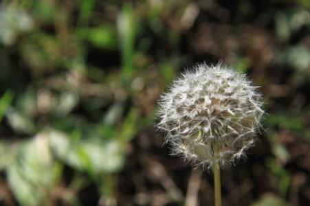 1543912717977790.jpg 女人在家带了四年孩子之后,重返职场很难吗.jpg