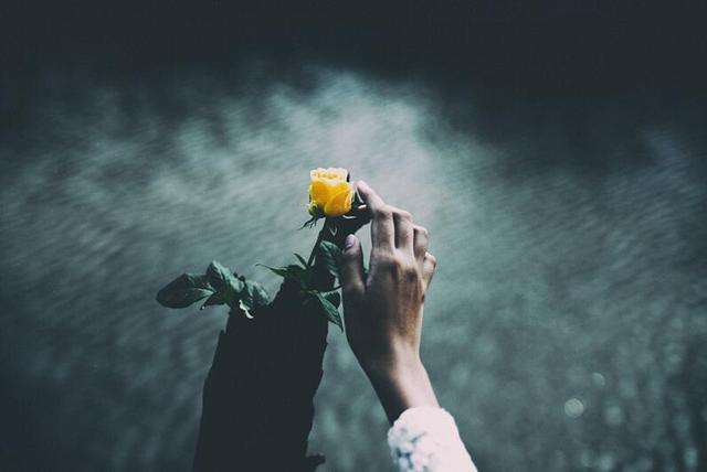 1544153563872899.jpg 究竟是谁戴绿帽子?婆婆造谣我,还惹出这样的事.jpg