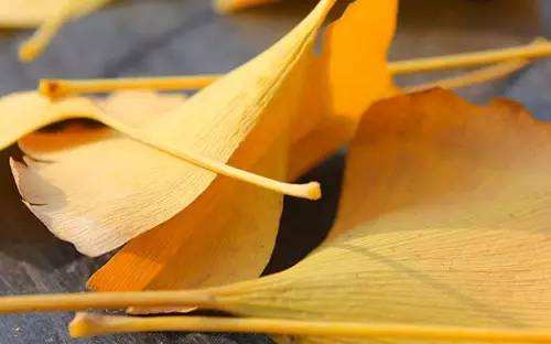 1544412231552847.jpg 本想成就事业,她却选择闪婚,之后更是判若两人.jpg