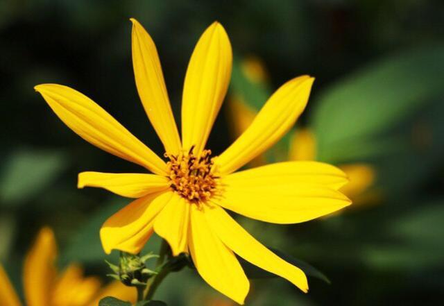 1544430426253382.jpg 生二胎羡慕别人有工作?人生还长,先别急着后悔.jpg