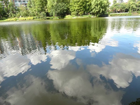 1544430558638935.jpg 生二胎羡慕别人有工作?人生还长,先别急着后悔.jpg