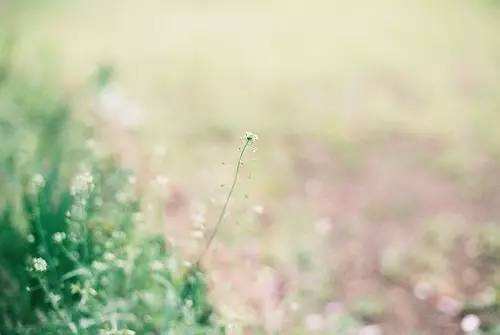 1544430948430127.jpg 外公抛家弃子,他死后也不知道,谁在真正的陪伴.jpg