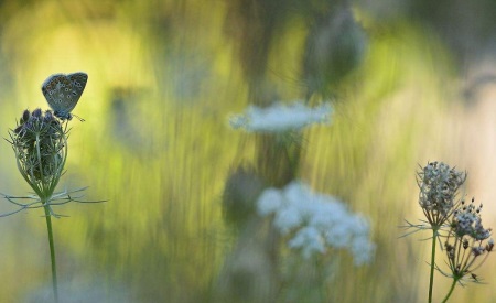 1544517451798285.jpg 平静的生活,让我尝试纵欲,也因此害死了他.jpg