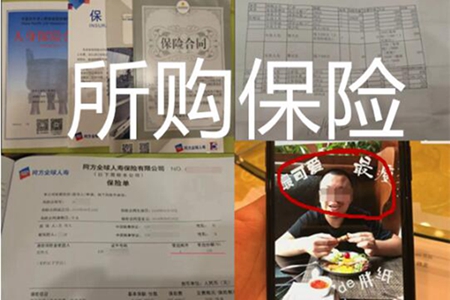 1544580912281504.jpg b3.jpg