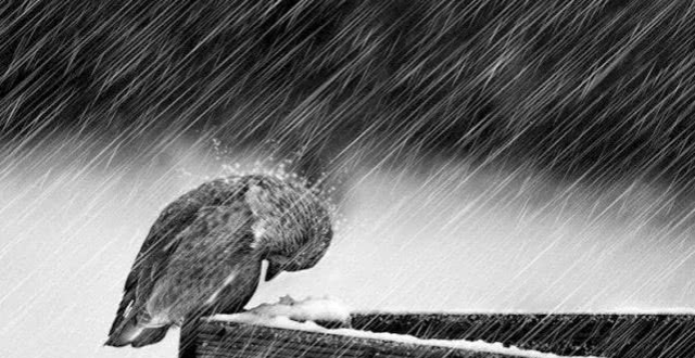 1543211294676345.jpg 女人不幸的生活,不能只埋怨不幸的婚姻.jpg