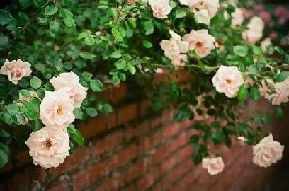 1543211383339050.jpg 女人不幸的生活,不能只埋怨不幸的婚姻.jpg