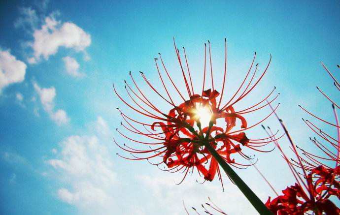 1543375966539858.jpg 你说总遇渣男,却不知,你是渣男最好的人选.jpg