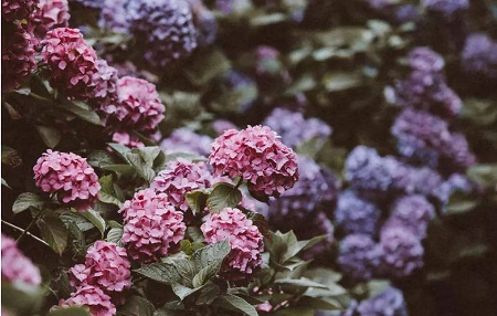 1543460874283888.jpg 孩子的性格像我,改变孩子难,改变自己更难.jpg