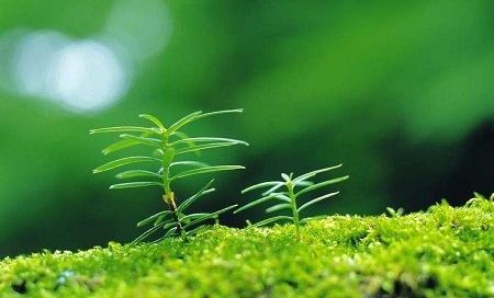 1543460919763500.jpg 孩子的性格像我,改变孩子难,改变自己更难.jpg