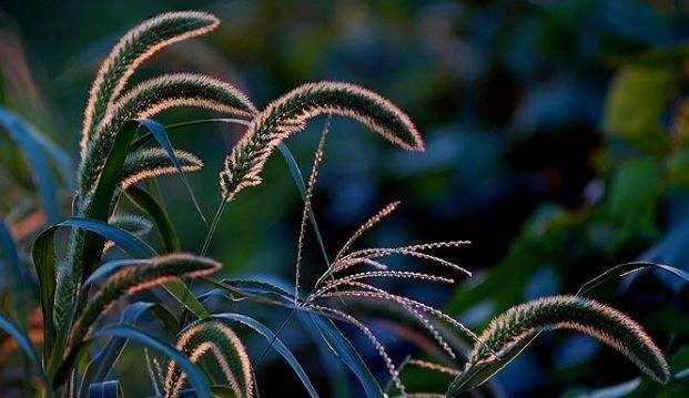 1543480541798855.jpg 遇到“垃圾人”要争辩吗?不如拂去尘灰,继续前行.jpg