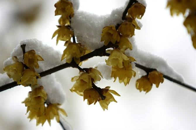 1543480565581655.jpg 遇到“垃圾人”要争辩吗?不如拂去尘灰,继续前行.jpg