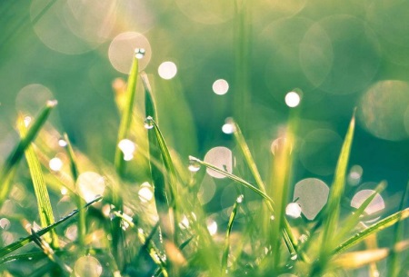 1543567293988030.jpg 生活不易,谁在负重前行?一段残疾人的爱情.jpg