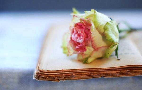 1542876002686672.jpg 婆婆总是对孩子唉声叹气,我不惜跟她大吵一架.jpg