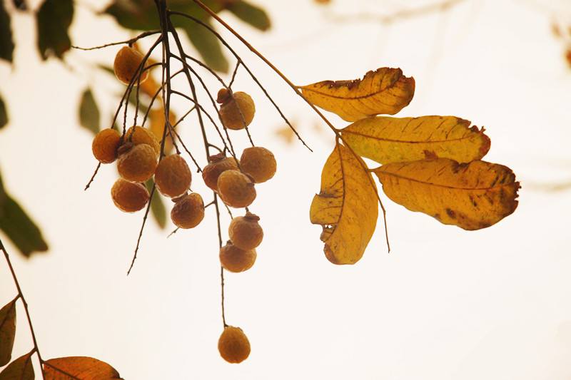 1539930592161951.jpg 你的那句“我后悔认识你”,让我犹如针扎思绪如麻.jpg