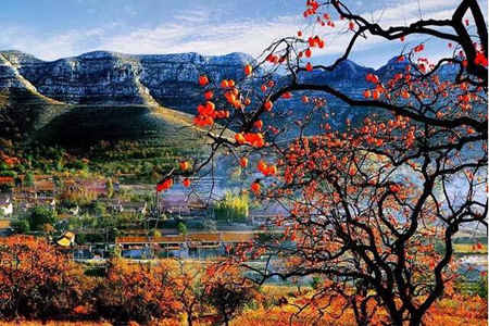 1540437959872752.jpg 20181025105215.jpg