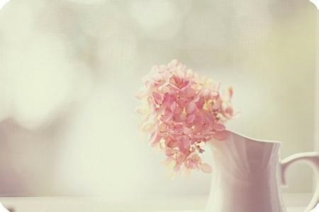 1540439076776020.jpg ad.jpg