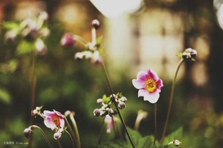 1540451462931524.jpg zk.jpg