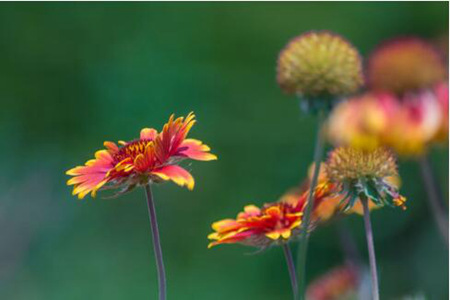 1539747956826433.jpg 20181017113041.jpg