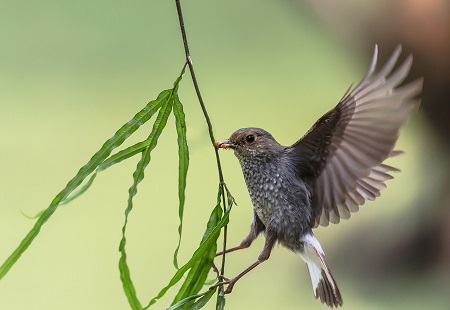 1538961847506767.jpg 那些年孩子与我分享的秘密,在他长大之后就产生了距离.jpg