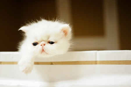 1538970099568996.jpg 婚姻就算是搭伙过日子,女生也要选择“对”的人!.jpg