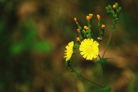 1539164085198331.jpg 20181010111113.jpg