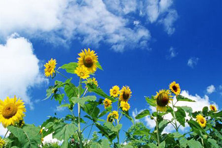 1539229351314306.jpg 20181011111446.jpg